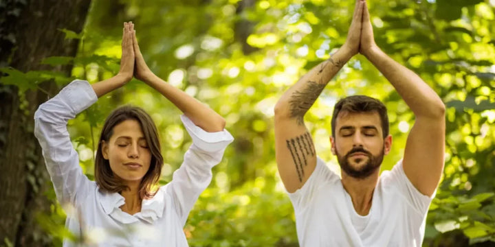 The Connection Between Your Wellness and Your Environment