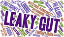 What is Leaky Gut syndrome? And how it’s Affects Hair Growth and Wellness