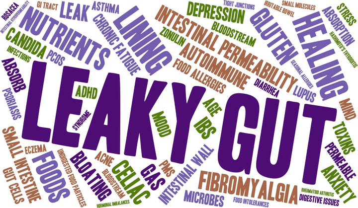 What is Leaky Gut syndrome? And how it’s Affects Hair Growth and Wellness