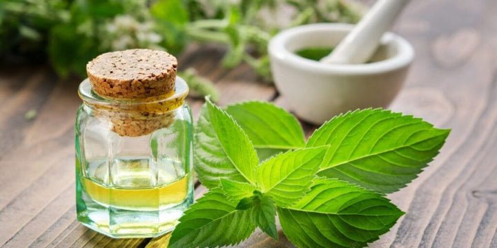 What Are the Best Essential Oils for Hair Growth?