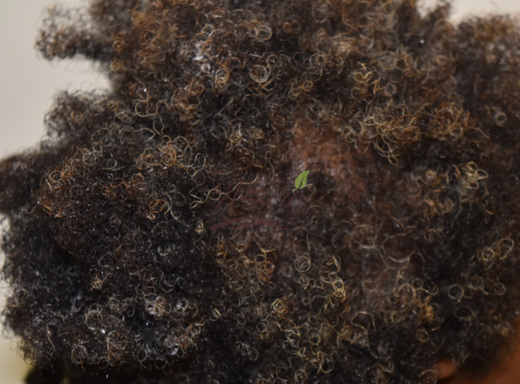 Before and after hair result showing stronger texture