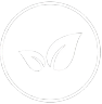 Vegan Ingredients